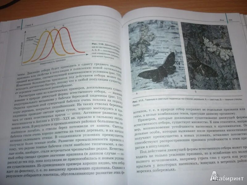 Сивоглазов агафонова захарова биология 11 класс. Купить Агафонова Сивоглазов биология животных 10-11 классы стоит брать.