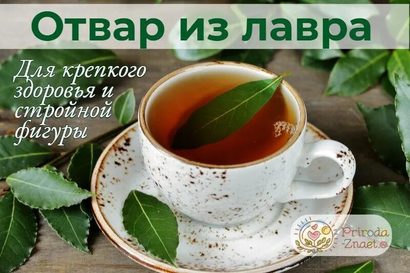 Для чего полезен отвар лаврового листа. Настой из лаврового листа. отвар лаврового листа. отвар из лаврового листа. чай из лавра.