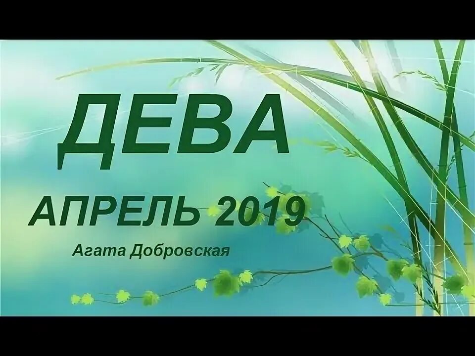 Дева апрель. Дева в апреле. дева апрель начало.