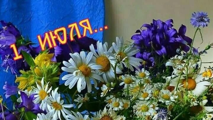 Доброе утро картинки с детьми. Открытки с добрым июльским утром. Открытки с летом. С летом поздравления. Здравствуй лето.