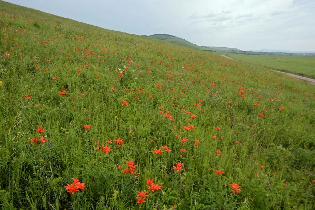 Луговая красноярский край