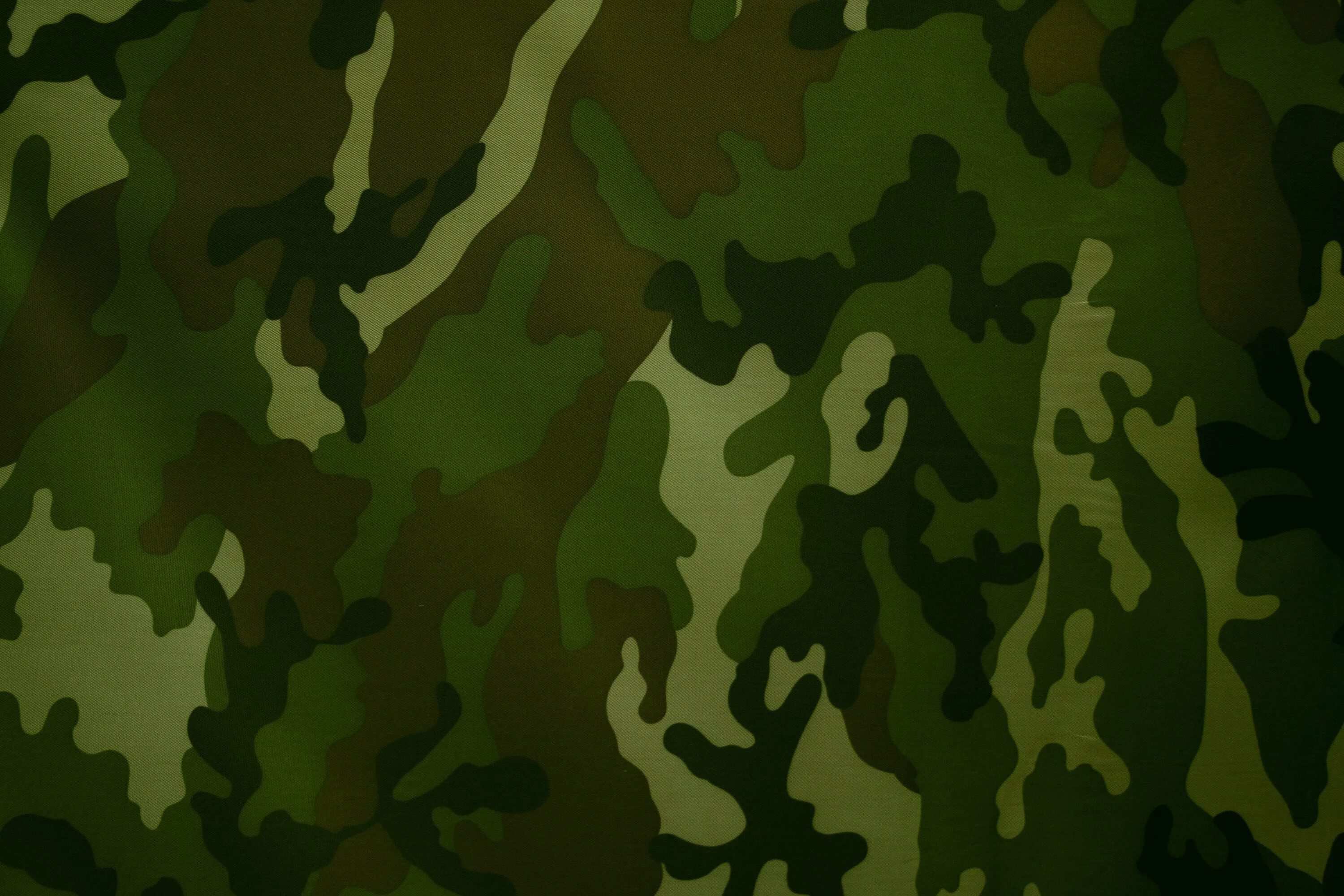 Защитный хаки. Woodland Camouflage 4r. Цвет хаки цвет хаки камуфлированные. Милитари Грин цвет. Камуфляж ВСР-98 ткань.