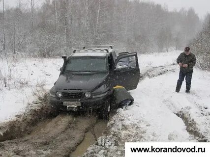 Форум корандоводов