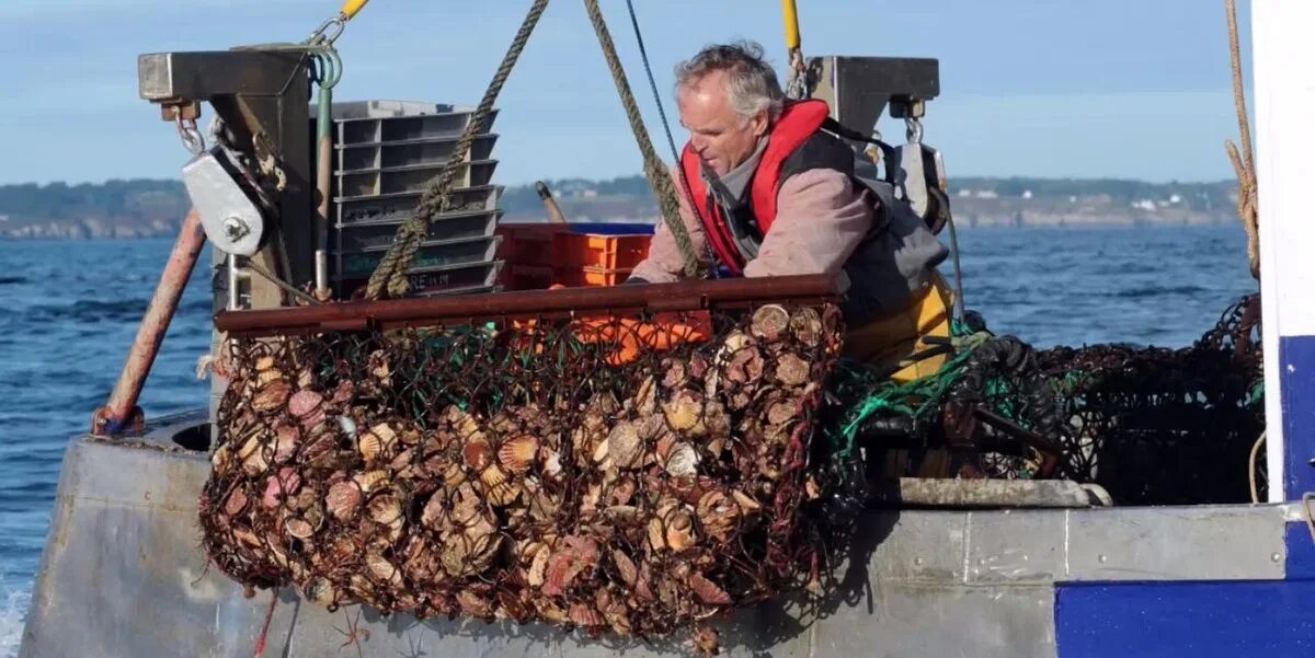 Как добывают морскую