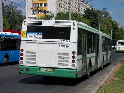 252 автобус спб