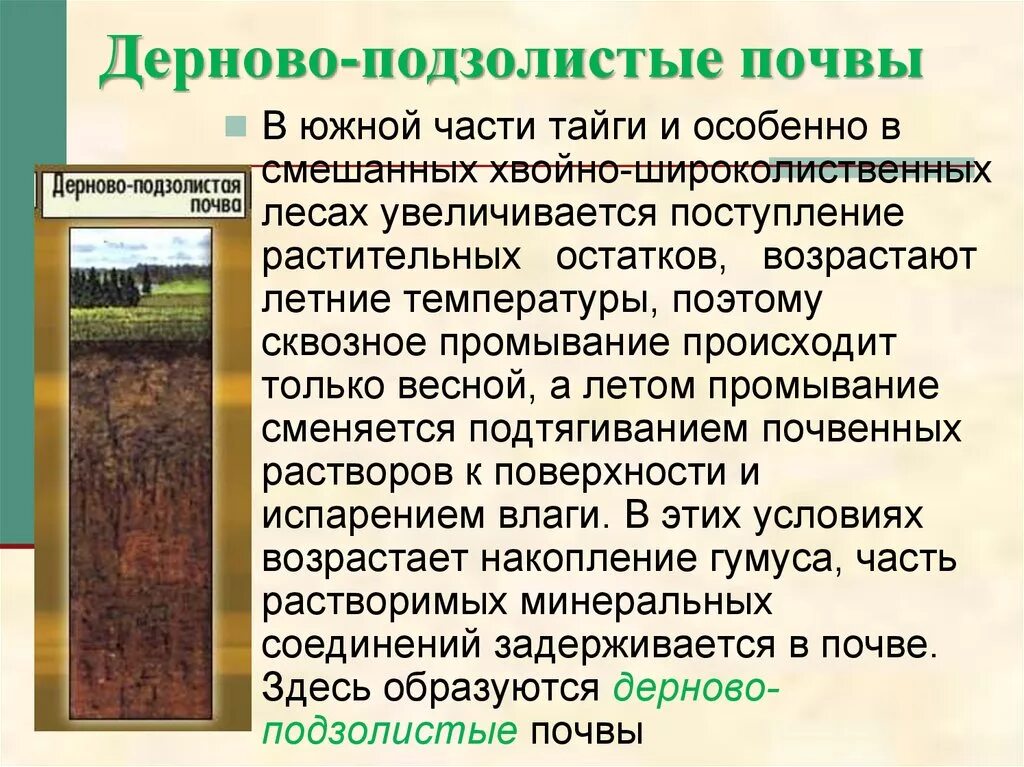 Почва главный источник. Гумусовый Горизонт подзолистых почв. Строение профиля дерново-подзолистой пахотной почвы. Почвенный профиль дерново-подзолистых почв. Дерново-подзолистые почвы характеристика.