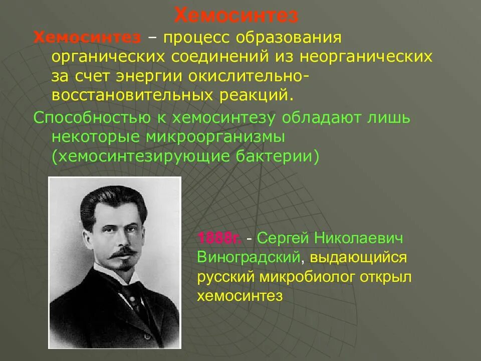 Хемосинтез характерен для. Виноградский хемосинтез. Виноградский открыл хемосинтез. Процесс хемосинтеза. Процесс образования органических веществ.