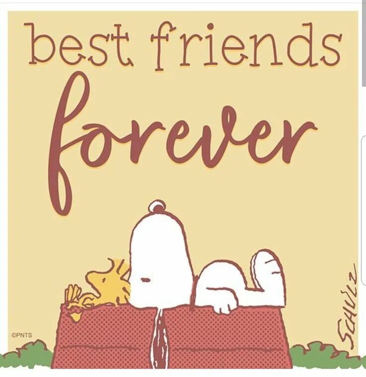 Life without a friend is. Snoopy книга. I can't imagine. I can’t imagine my Life without my Family and friends. I cant imagine my Life without.