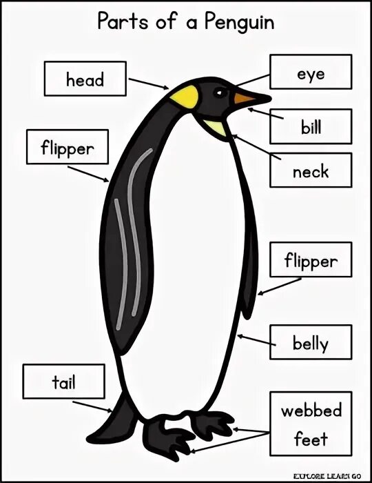 Penguin транскрипция