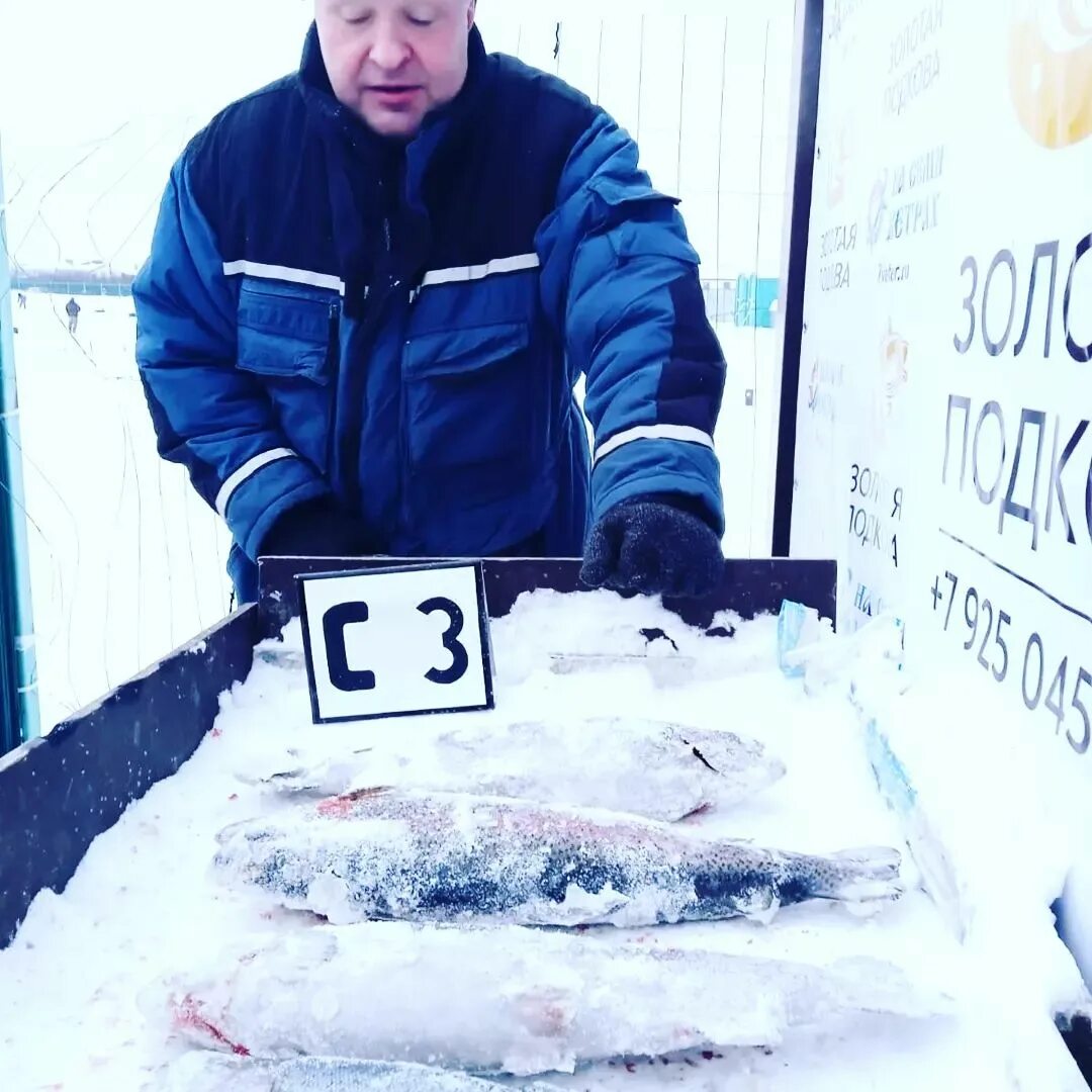 Толстолобик рыба. Русфишинг золотая подкова. Рыболовный клуб. Рыбалка золотая подкова исаково. Толстолобик сахалинский.