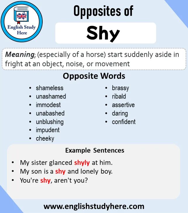 Shy opposite. Shy антоним. Shy opposite Word. Opposite to shy. Shy meaning