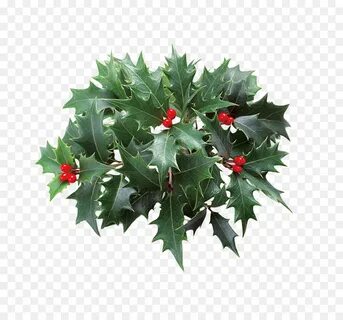 Christmas leaves