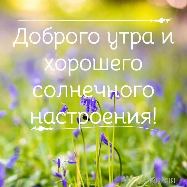 Доброе утро хорошего настроения в любую погоду. Доброе утро хорошей погоды. Открытки с добрым утром и хорошей погоды. Несмотря на погоду хорошего дня и настроения. Доброе утро несмотря