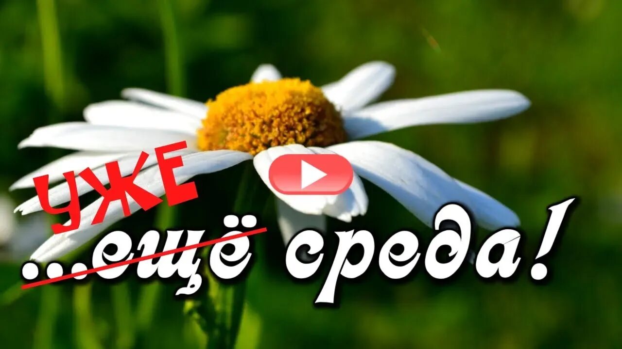 Видео утро среда. Доброе утро. Доброе утро среды. Открытки хорошего дня. С серединкой недели доброе утро.