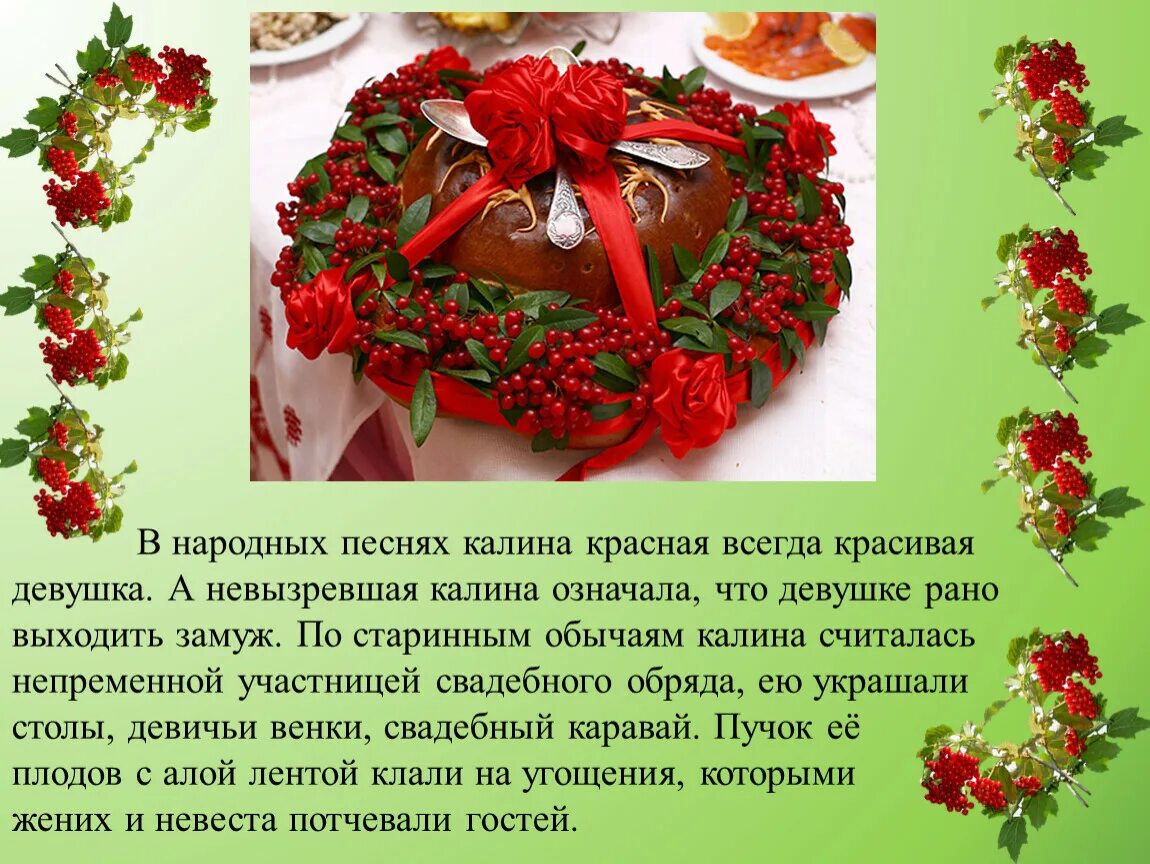 Кустарники для детей. Стихи о калине. Стихи про калину короткие. Стихи про калину. Стихи про калину.
