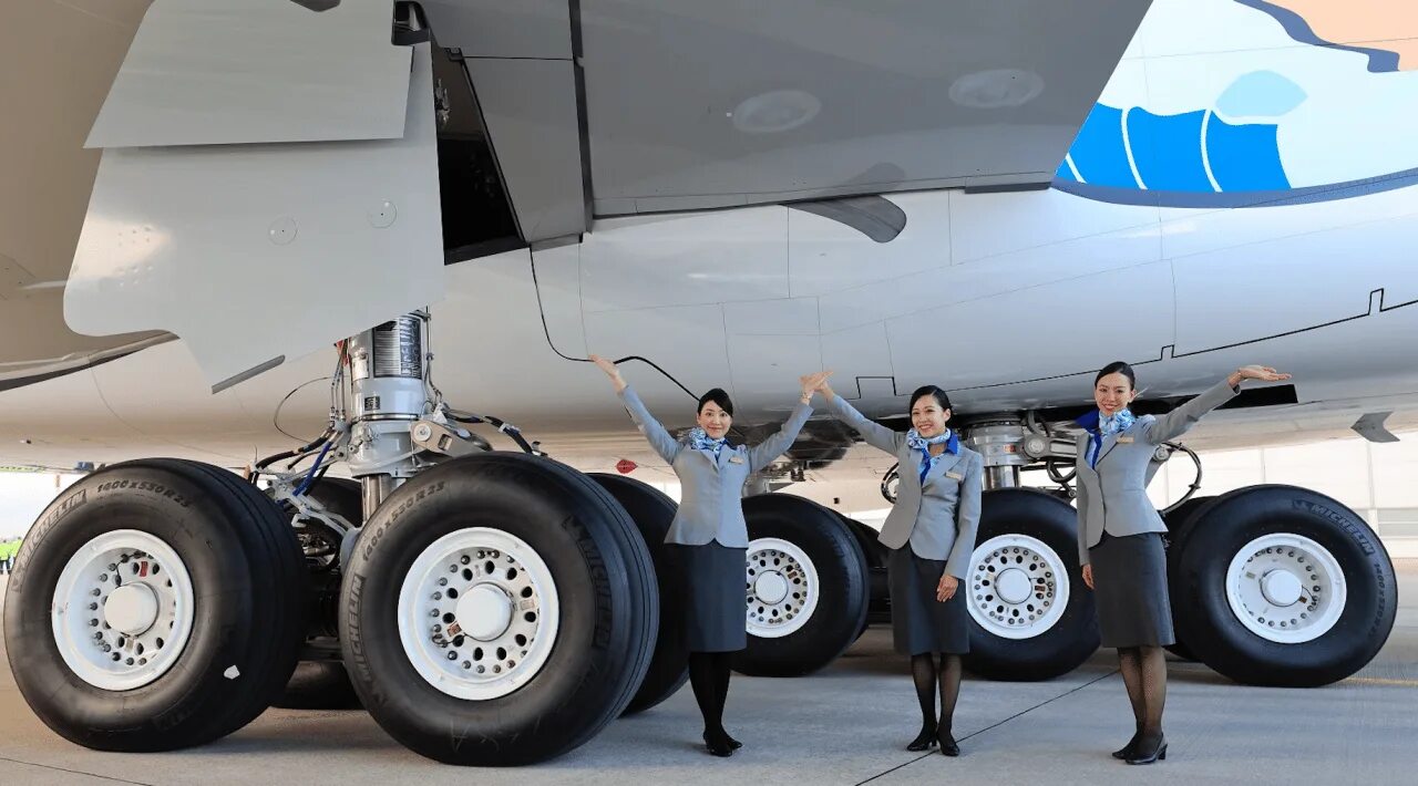 Boeing 777 шасси. Резина для шасси самолета. Размеры колес самолетов. Размер колеса самолета боинг. Стойка шасси боинг 737.