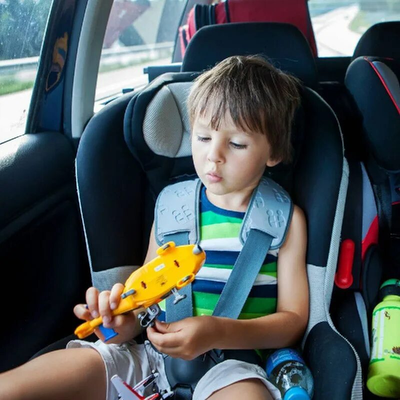 автоняня камышин