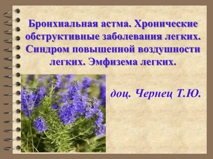 Травы для легких
