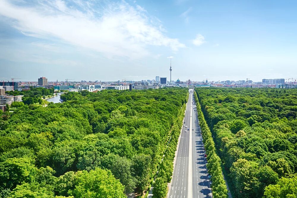 Бульвар унтер-ден-линден в берлине. Berlin heaven. Парк большой тиргартен. Mike oldfield - the milenium bell ' 1999 cd covers. Berlin heaven.