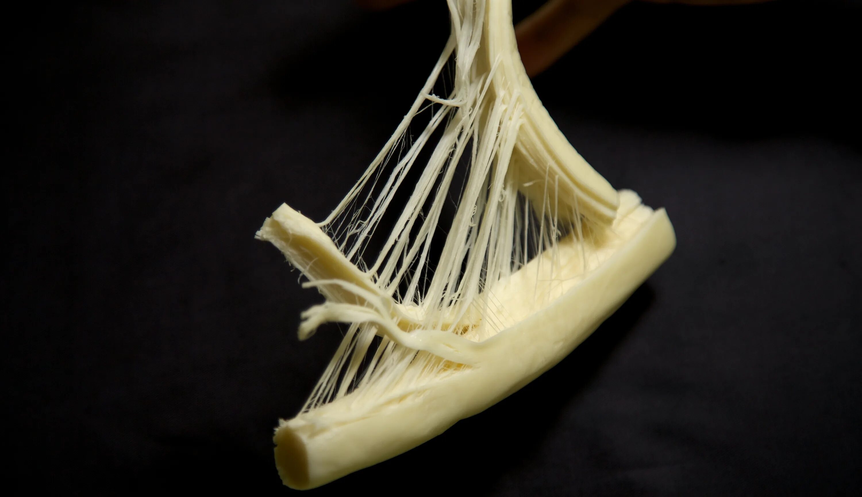 String cheese. String. strings. string cheese png.