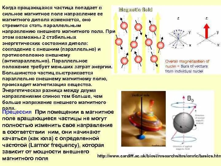 Магнитное поле вращающегося заряженного шара. Вращение частицы в магнитном поле. Магнитный момент заряженного шара. Нейтрино вращающаяся частица. Частота вращения частицы в магнитном поле