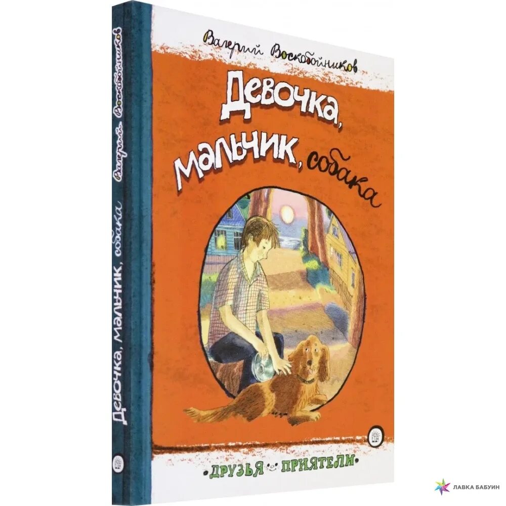 Девочка собака читать. Воскобойников в. &quot;девочка, мальчик, собака&quot;. девочка, мальчик, собака книга.