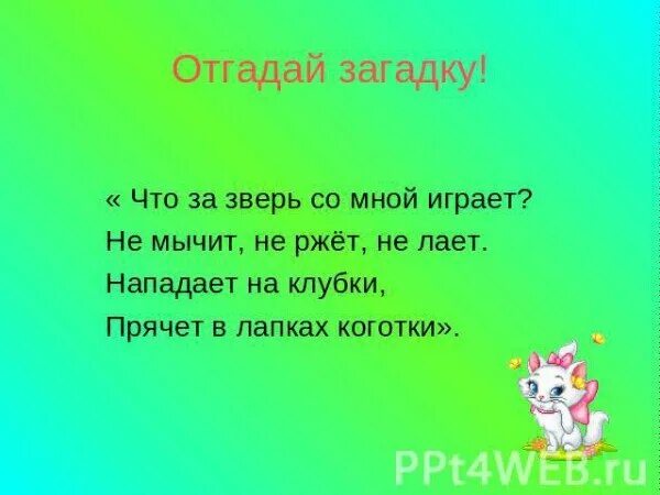 Загадки про кошку для класса. Загадки на тему кошка. Загадка про кошку для детей. Загадка про котенка. Загадка про кошку для дошкольников.