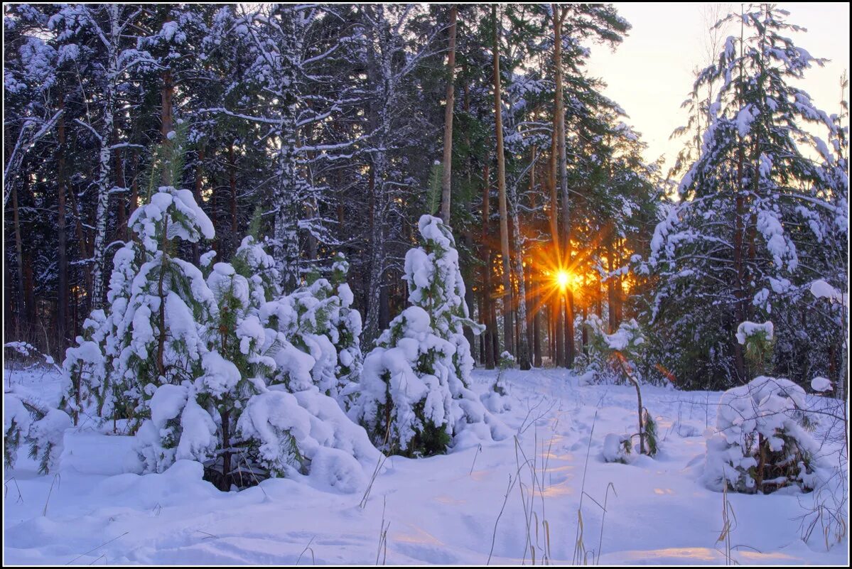 Декабря месяц тыс