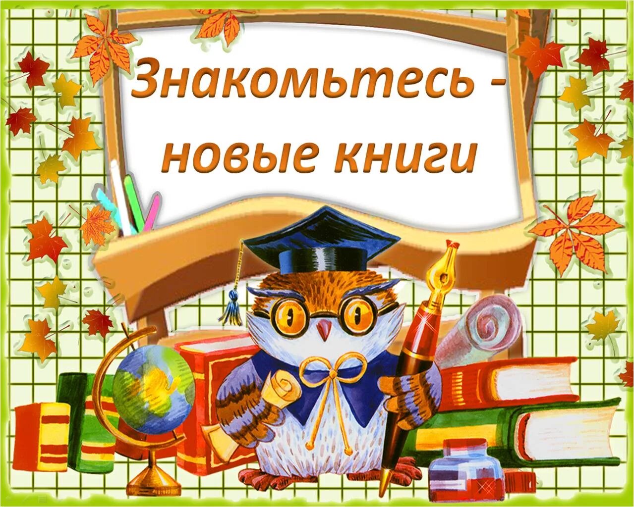 День новых поступлений