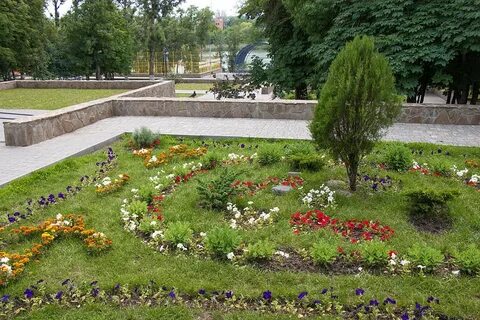 Парка дружба ростов