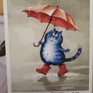 Не смотря на дождик