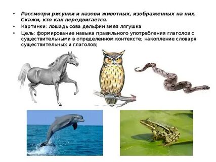 Примеры животных которые передвигаются с помощью