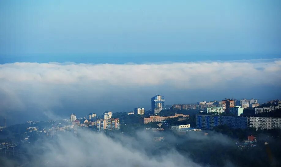 Муссонный климат Приморье. Туманный Владивосток. Владивосток климатический. Владивосток туман. Владивосток климат зимой
