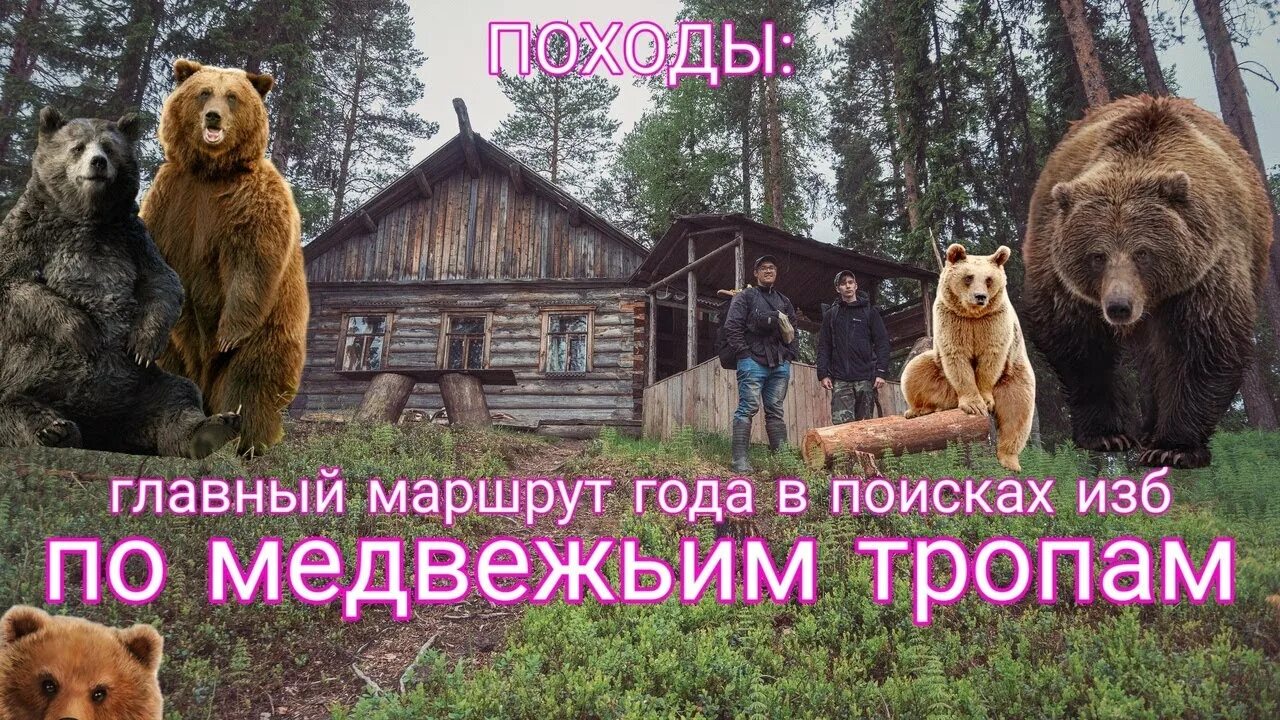 Доберемся до главного