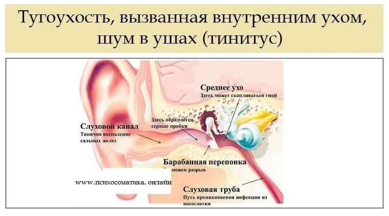 Почему пульс в ушах. Психосоматика уши. Психосоматика заложенности ушей.