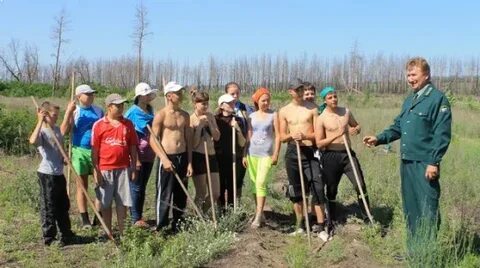 Погода рп5 красноселовка воронежская