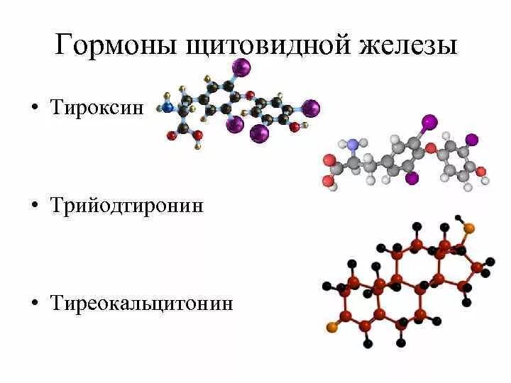 ТТГ формула структурная. Тиреокальцитонин гормон формула. Тироксин гормон молекула. Тиреокальцитонин гормон функции.