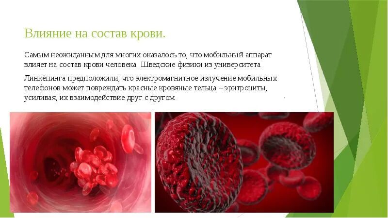 Проект влияние продуктов питания на состав крови Запоры в истории цивилизации. Причины и выводы Летобор о мечте и мастерстве жизн