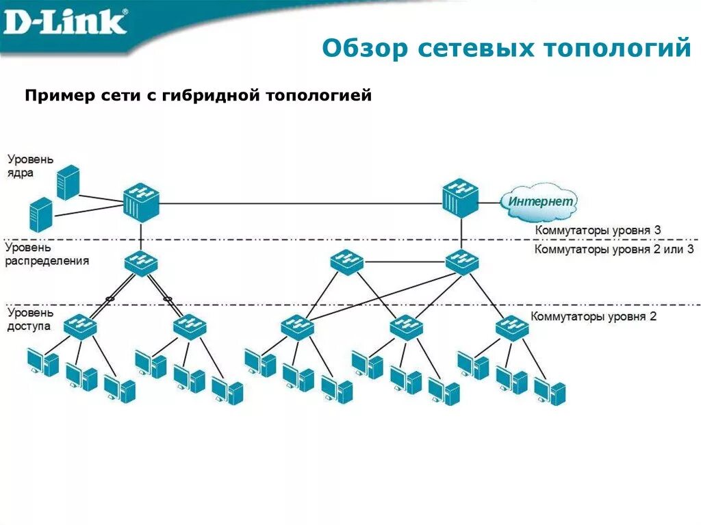 Топология локальной сети гибрид. Обзор сетевых технологий. Гибридная топология сети. Гибридная локальная сеть. Сеть дика