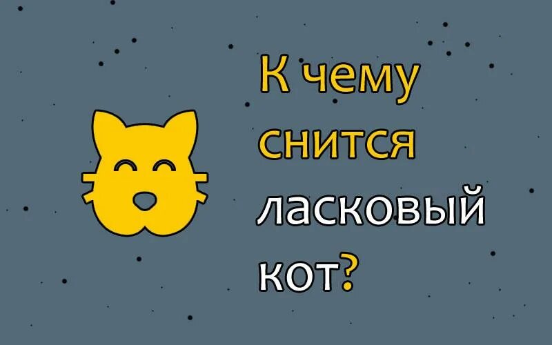 К чему снятся коты во сне мужчине. Приснился ласковый кот. К чему снится мой кот. К чему снится рыжий кот мужчине. Сонник черный ласковый кот.