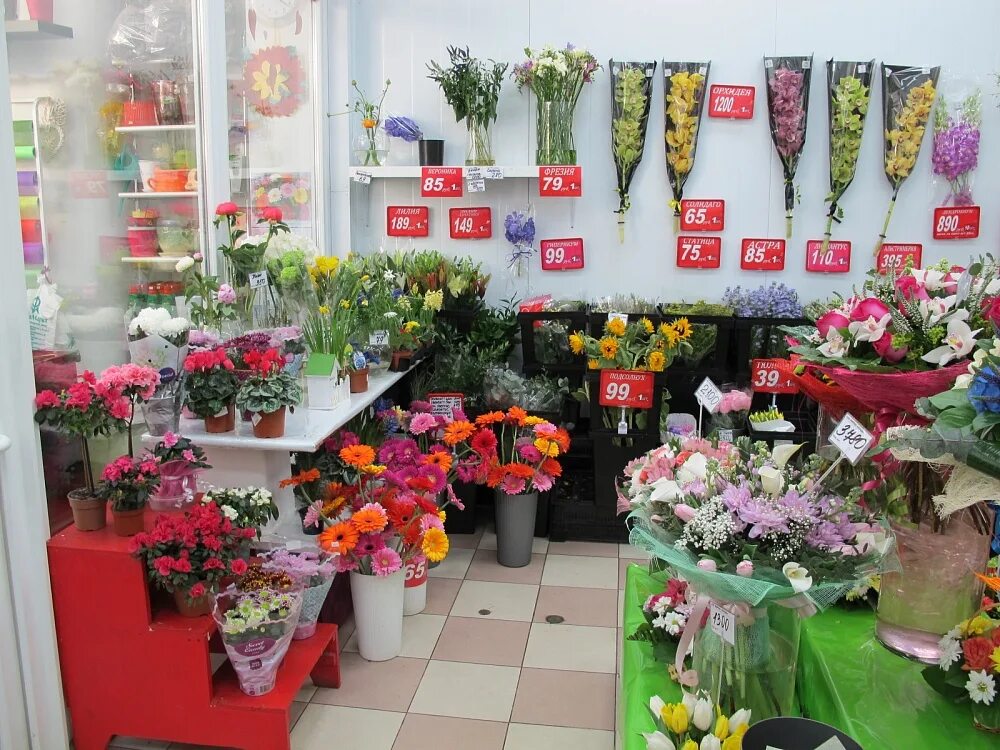 Все цветы по одной цене. Цветы в магазине. Цветок ассортимент. Цветочный магазин рядом. Цветочный отдел.