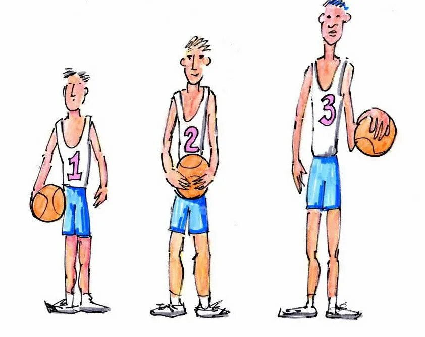 Who is tall. Tall. tall картинка. tall картинка для детей. taller tallest.