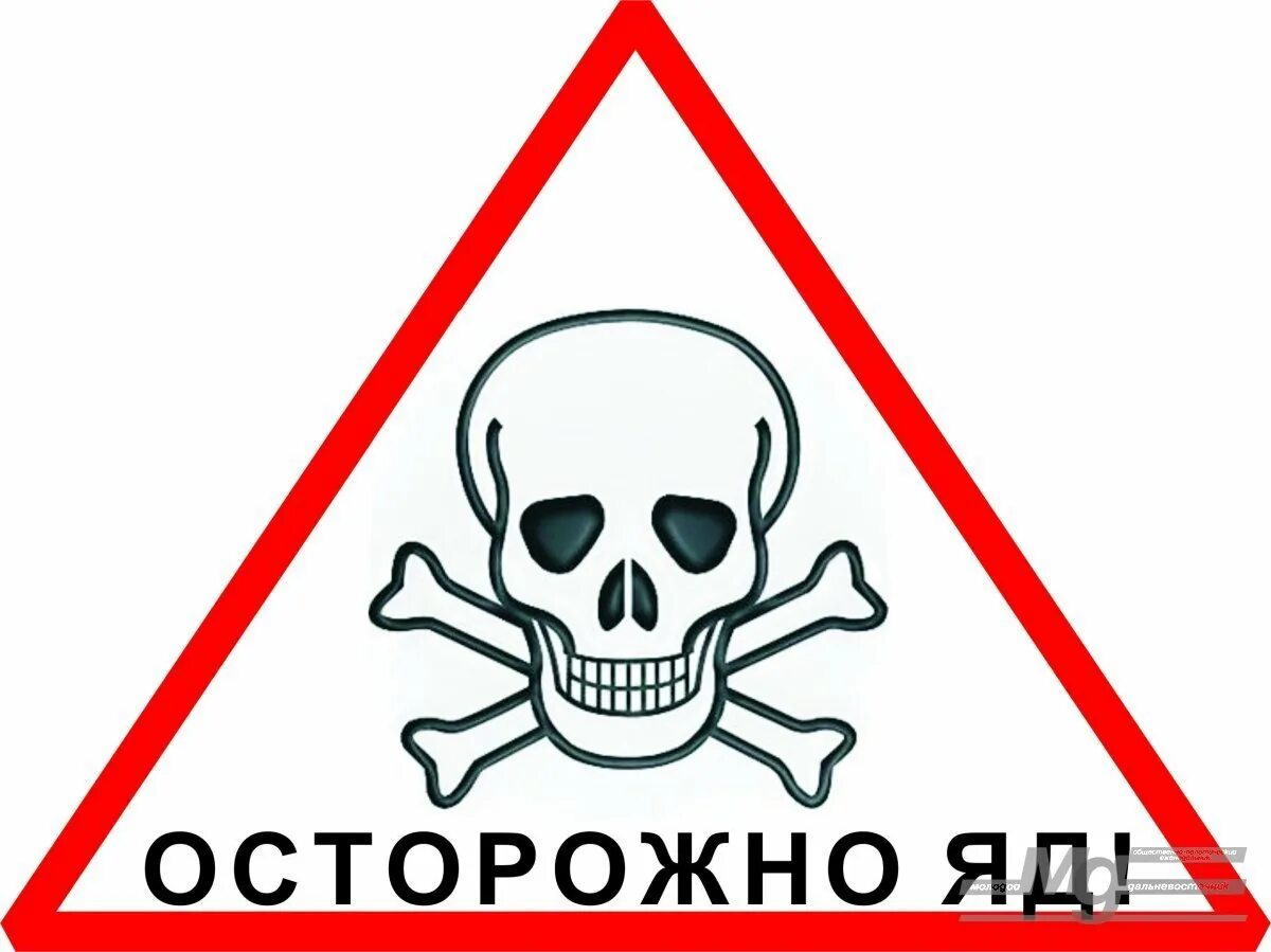 Череп пить