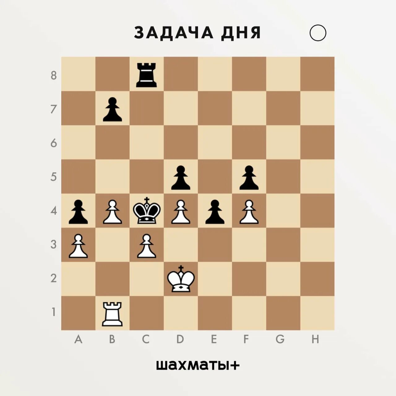 Равен шахматы. Шахматные логические задачи. Шахматы мат в 1 ход 2 хода 3 хода. Мат в 3 хода в шахматах комбинации. Равен шахматы.