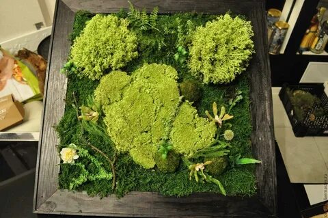 Стена из мха своими руками