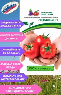 Томат любаша f1 характеристики