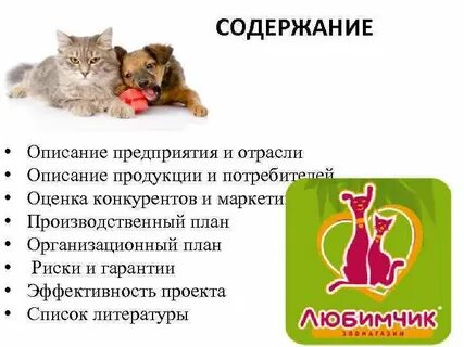 Задача в зоомагазине