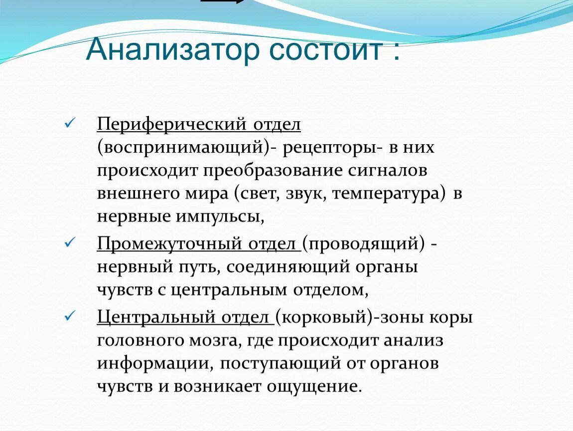 Из каких отделов состоит анализатор. Из каких частей состоит анализатор каковы их функции. Анализатор состоит из трех частей. Анализаторы состоят из трех отделов.