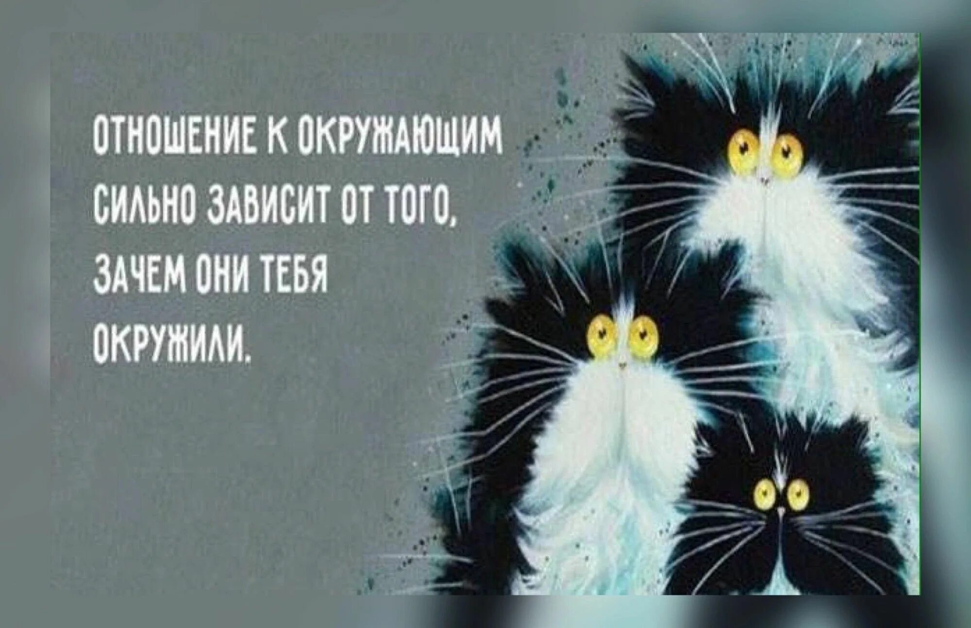 Отношение к окружающим сильно зависит от того зачем они тебя окружили. А зачем они меня окружили. Психология юмор. А зачем они меня окружили картинки.