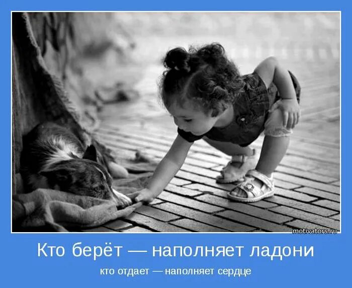 Доброта и любовь. Ежик. Сострадание к животным. Сострадание сочувствие сопереживание. Зависть нужно заслужить а жалость раздают бесплатно.